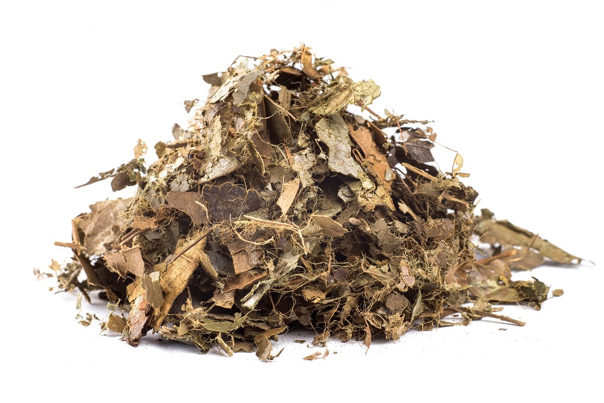 GRAVIOLA ANONA - bylina (guanabana)