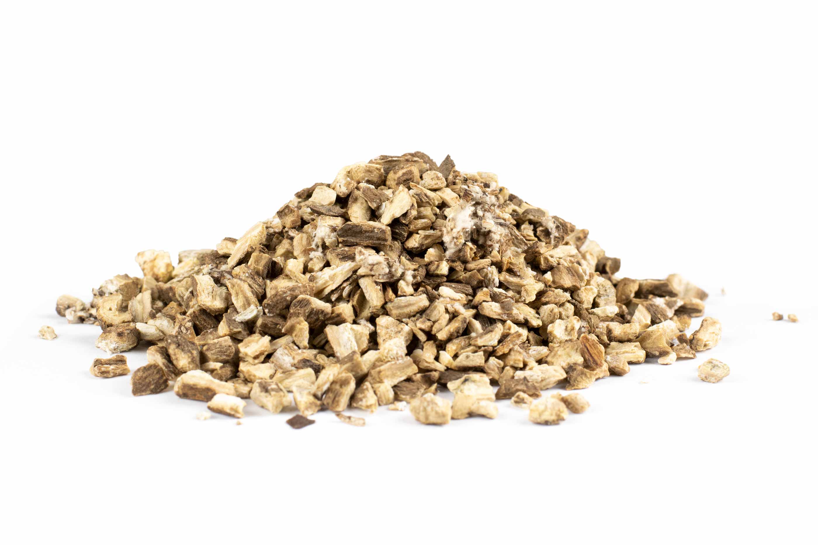 LOPUCH KOŘEN (Arctium lappa) - bylina