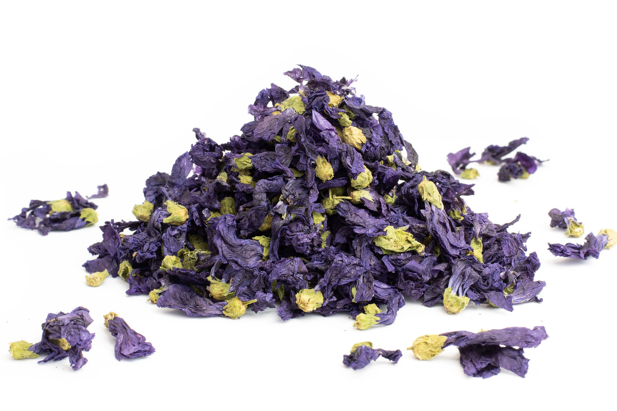 SLÉZ MAURSKÝ KVĚT (Malva mauritiana) - bylina